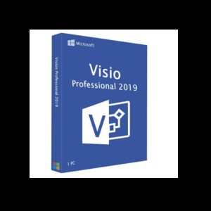 Microsoft Vision Professional 2019